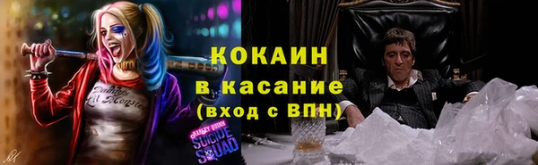 дмт Абаза