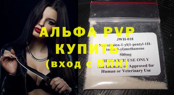 дмт Абаза