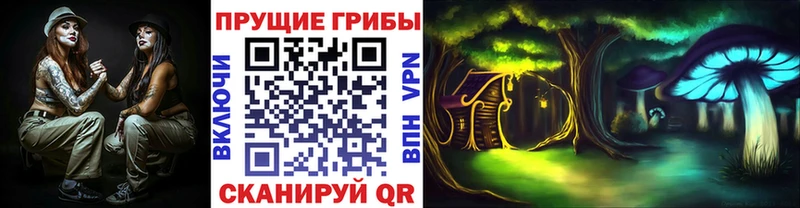 Псилоцибиновые грибы мицелий  наркотики  MEGA сайт  Тайга 